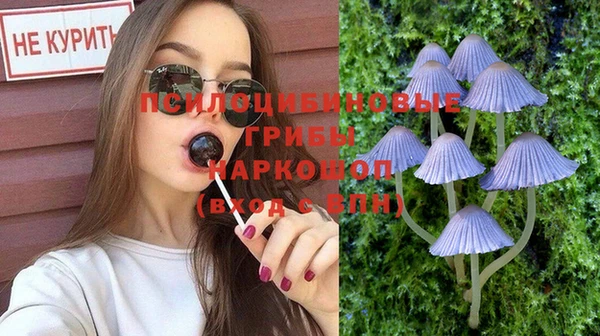 ешки Верхний Тагил