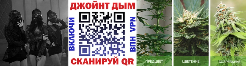 Марихуана марихуана  где купить наркоту  Динская 
